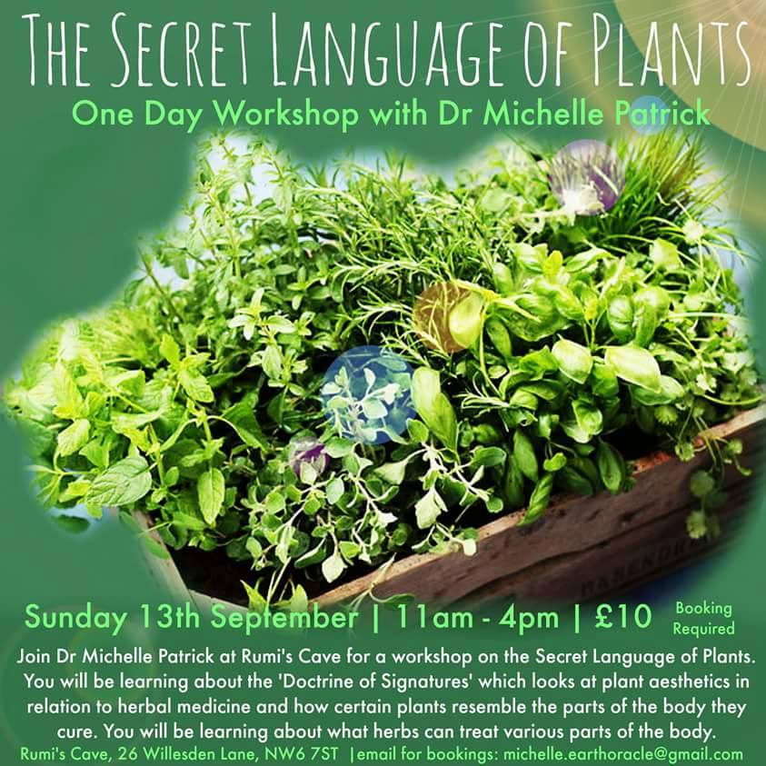 The Secret Language of Plants