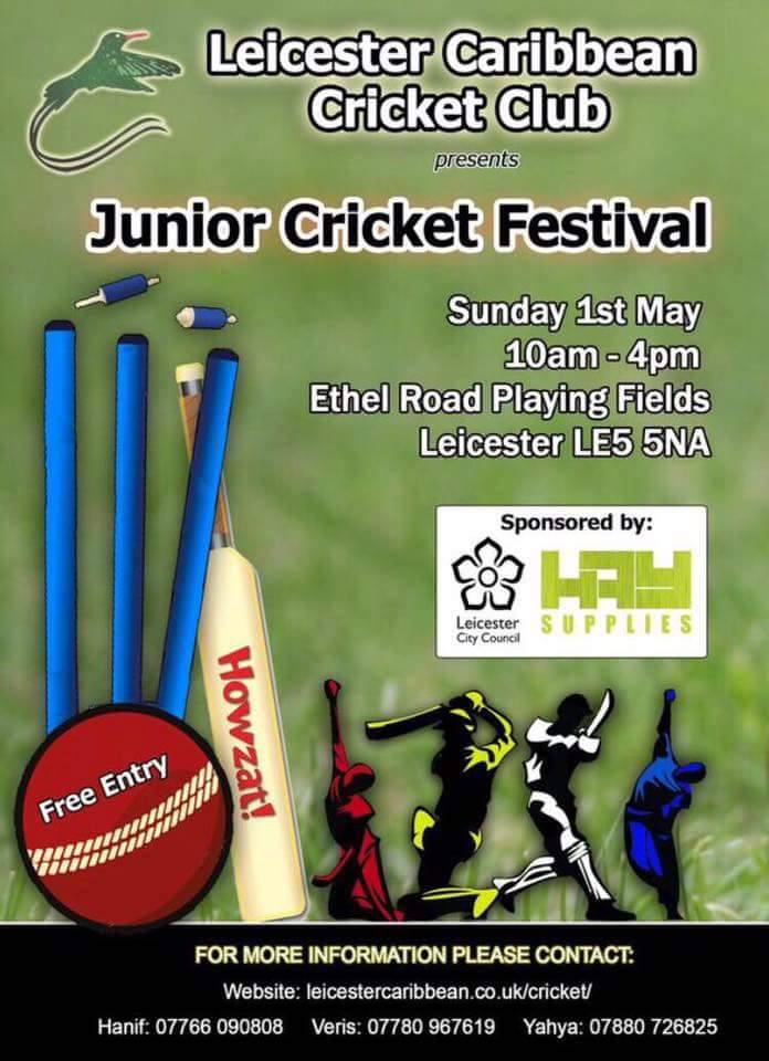 Junior Cricket Festival